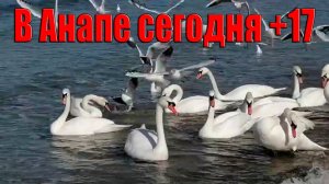 В Анапе сегодня +17 А Мама и Оля переехали на юг чтобы сидеть дома и учить уроки // жизнь на море