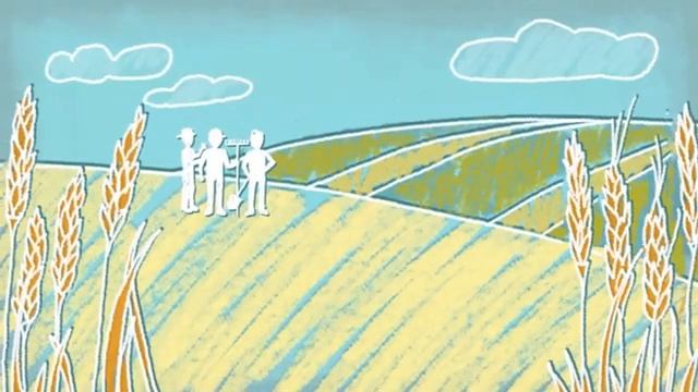 Зачем смешивать протравители? Готовый инсектофунгицид для защиты семян