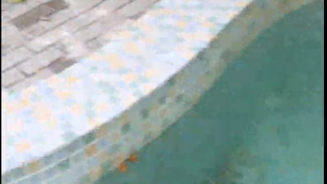 Отдых в Крыму 2017 ПАНСИОНАТ "Солнечный" пгт.Николаевка смотреть онлайн