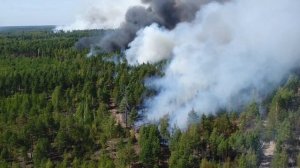 Лесные пожары в Нижегородской области