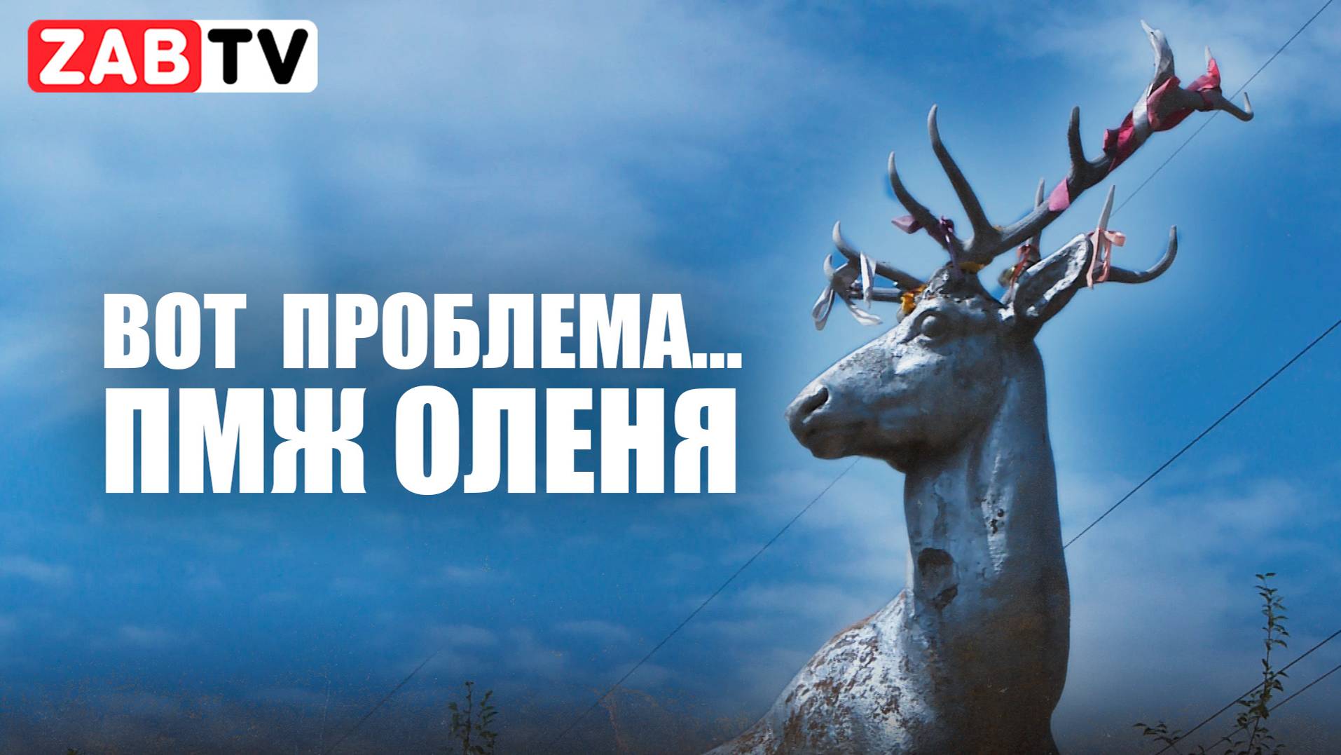 Проблема, которая требует серьезного вмешательства