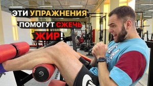 Эти упражнения помогут СЖЕЧЬ ЖИР!