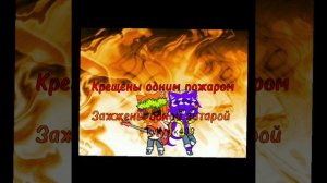 Мы с тобой одной крови
Разноцветные коты, бискас, прискас