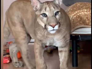 Ура! Миллион!