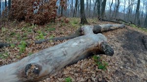 г. Тип Тяв. Самара. 25 октября 2019г.