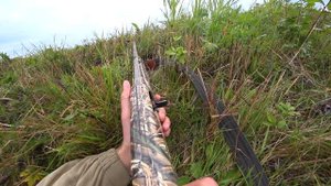 Выехал на осеннюю  охоту по ГУСЮ. Долгожданный налет. Охота на гуся 2021.