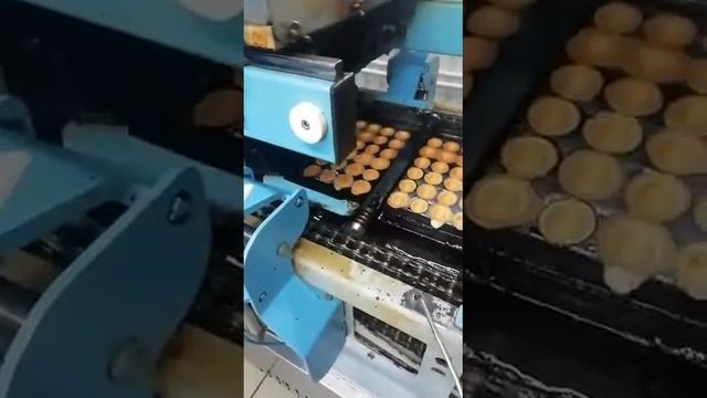 Линия производства печенья орешек. Выпечка скорлупок автоматическая смотреть онлайн