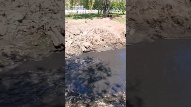 WhatsApp Video 2023-06-22 at 13.27.24
