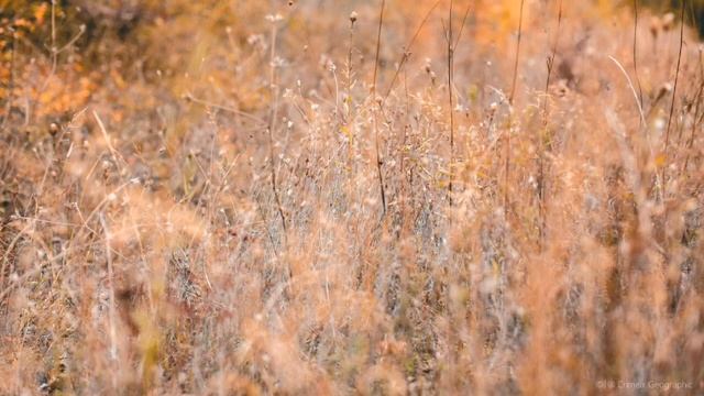 Почему так несправедлива жизнь и человек создан для страдания? смотреть онлайн