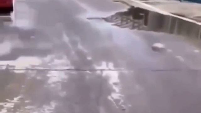 Парктроник топ, паркует безопасно и точно! ?