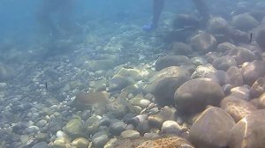 ТУРЦИЯ. Что НА ГЛУБИНЕ Средиземного МОРЯ