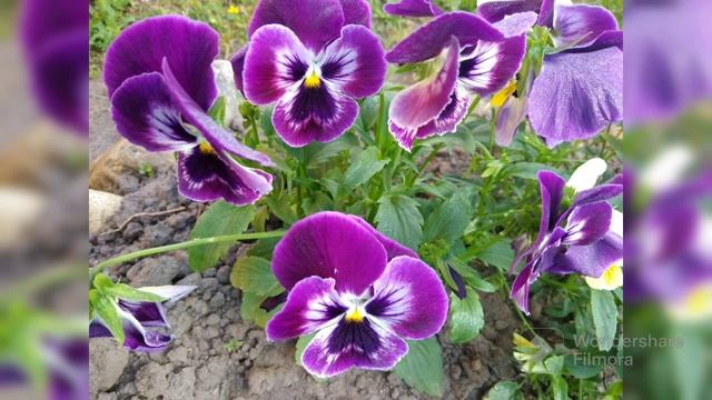 МНОГОЕ СВЯЗАНО. ТЭГ от Наталии Бобраковой @Natalia_and_creativity в рамках СП Два в одном + один смотреть онлайн