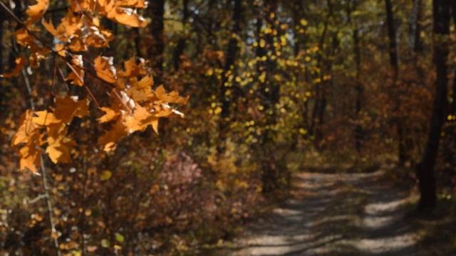 PL 5 (outside the city) смотреть онлайн