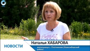 В селе Плотниково Новосибирского района садоводы превратили свои участки в произведения искусства