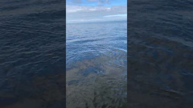 Щука 6+ на ультралайт. Рыбалка на Ладожском озере.Рыбалка в Ленинградской области. смотреть онлайн