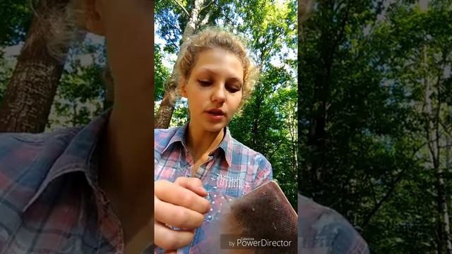 Как выделить из козьих счёсов пух без ости смотреть онлайн