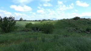 Археологический музей - заповедник Танаис