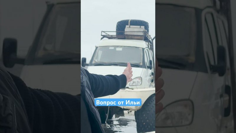 Умеет ли газель плавать? #doring #викторина #вопрос #вопросотильи