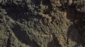 ☦_❤️"ОНИ СРАЖАЛИСЬ ЗА РОДИНУ ! ( 1975 г. ) ЖелаЕМ Вам ЗдОровья СчАсТЬЯ ! БОЖЕ, Храни РОССИЮ !"❤️_☦