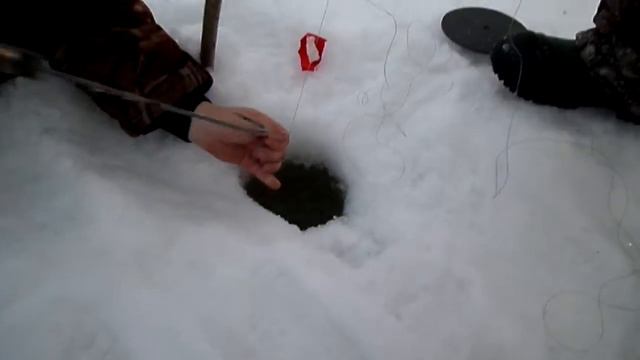 Щука 12 кг. на жерлицу. смотреть онлайн