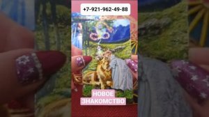 НОВОЕ ЗНАКОМСТВО #Гадание #Таро #Онлайн #Светлана ВЕДА
