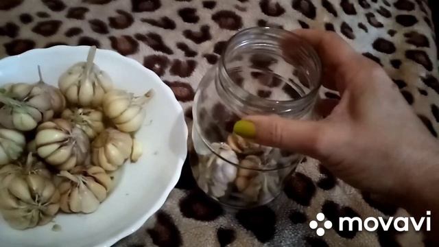 #чеснок#маринованныйчеснок 
Маринованный чеснок по рецепту #кулинариялюбовьким