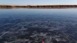 Торпеда на радиоуправлении