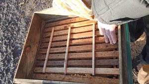 Зимовка пчел без потерь.Когда подкармливать пчел медом или канди. Контроль клуба