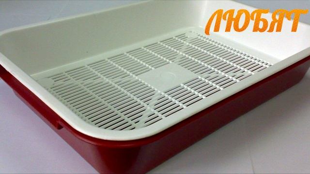 ЧТО ЛЮБЯТ И НЕ ЛЮБЯТ КОШКИ смотреть онлайн