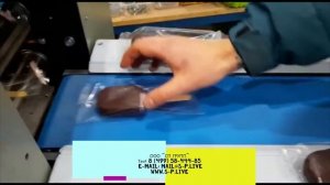 Автоматическая горизонтальная упаковочная машина DXDZ 250