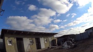 Подкидываю молодняк Николаевских голубей (ноябрь 2021)