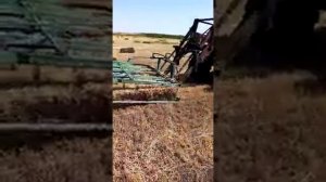 Сбор и погрузка квадратных тюков