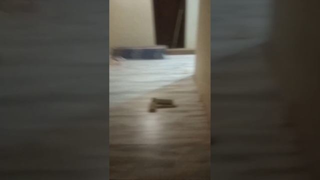 объект 1. ламинат 1 смотреть онлайн