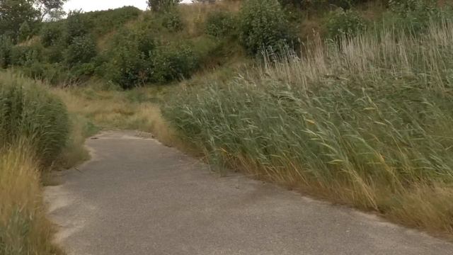 Увидев новоиспеченную жену брата, влюбился с первого взгляда. А пообщавшись с ней, впал в ступор... смотреть онлайн