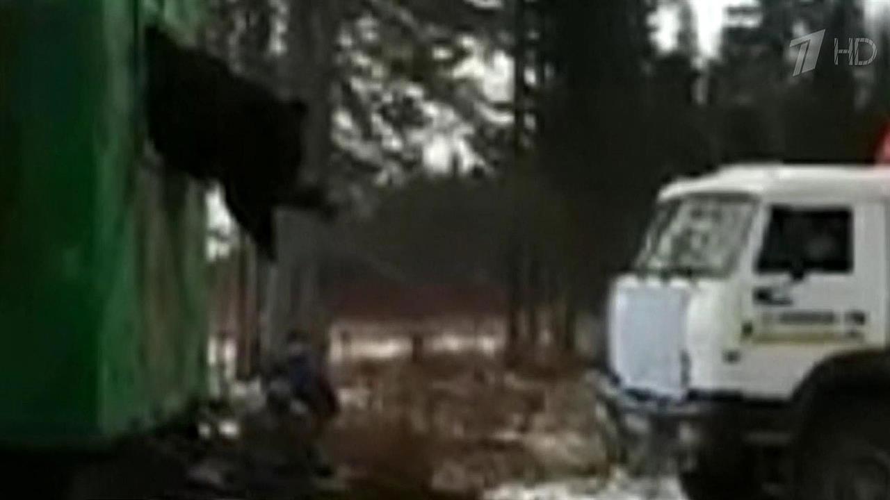 В Нижневартовске пришлось вызволять застрявшего в окне вагончика медведя-воришку