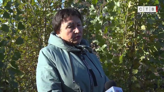 Осенние хлопоты в садовом питомнике Бузулукского лесхоза техникума