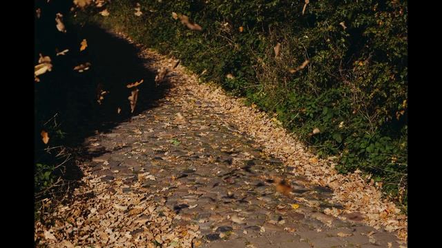 Спокойная музыка для души смотреть онлайн