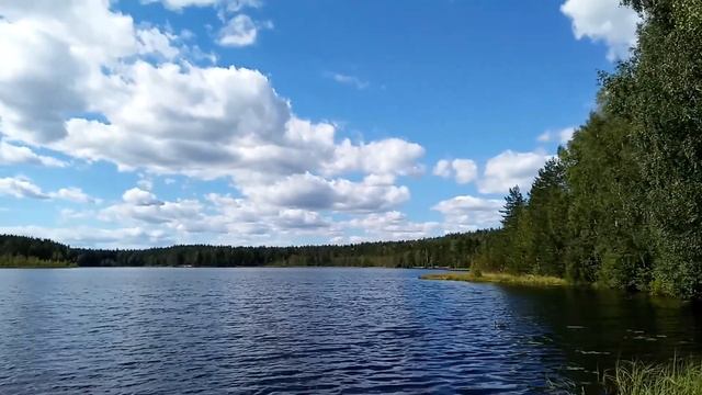 Санкт-Петербург экскурсии Пасторское озеро ч 1