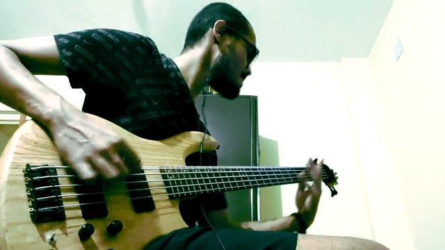 Harm's Way - Human Carrying Capacity BASS COVER смотреть онлайн