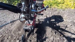 Сеем рожь мотоблоком