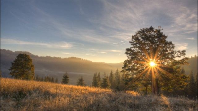 6 ноября. УТРЕННЯЯ ЗВЕЗДА. Карл Г. Стивенс смотреть онлайн