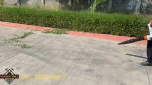 Stihl BGE 81 Electric Blower (Indian Unit) Working Video