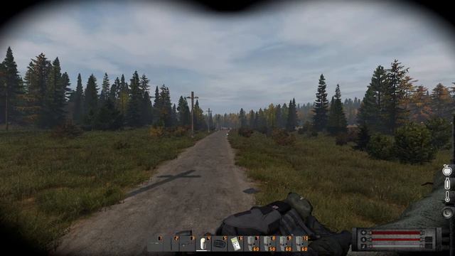 DAYZ. Anomaly STALKER PVE # Залезли в "зоопарк" смотреть онлайн