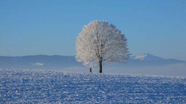 Морозное утро. Мороз и солнце, день чудесный. Александр Пушкин(слушать стихи) смотреть онлайн