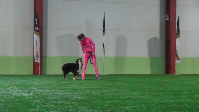 Гардер Мария и аусси ТРИПЛМУН ЭНЧАНТРЕСС Вне зачета смотреть онлайн