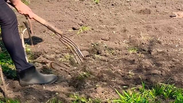 МОИ ПЕРВЫЕ ГРЯДКИ/ГРЯДКИ ИЗ МУСОРА/ ПЕРВАЯ НОЧЁВКА НА ДАЧЕ/УБОРКА ДАЧНОГО ДОМИКА/