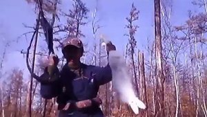 Начинаем неделю с позитивно заряженном видео.танец охотника