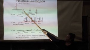 Формировка "Наклонный кордон"- фрагмент лекции в МОИПЕ, Москва, 2015 год