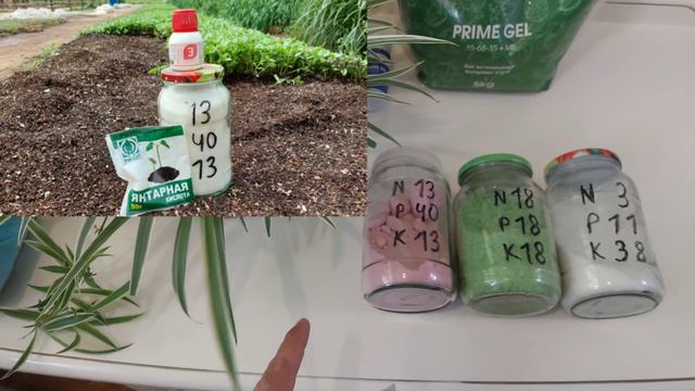 ХОНА ГУЛЛАРИ УЧУН АРЗОН ЛЕКИН ЖУДА КУЧЛИ, ЯНТАРНАЯ КИСЛОТАНИ ИЛДИЗ ОРКАЛИ ИШЛАТИШ. Artifex Agrochem