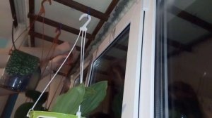 Полка и подвес для орхидей